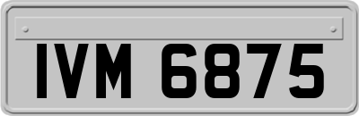 IVM6875