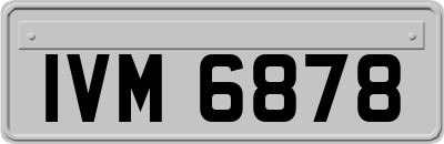 IVM6878