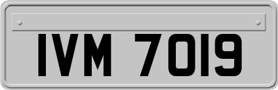 IVM7019