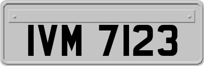 IVM7123