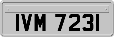 IVM7231