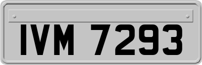 IVM7293