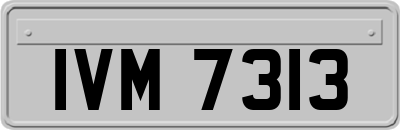 IVM7313