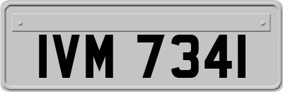 IVM7341