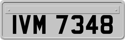 IVM7348