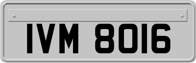 IVM8016