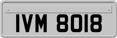 IVM8018
