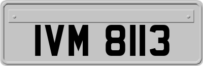 IVM8113