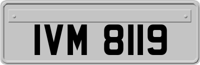 IVM8119