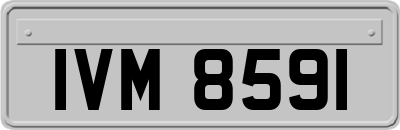 IVM8591