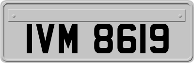 IVM8619
