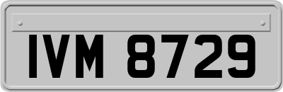 IVM8729