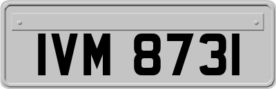 IVM8731