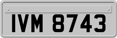 IVM8743