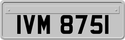 IVM8751