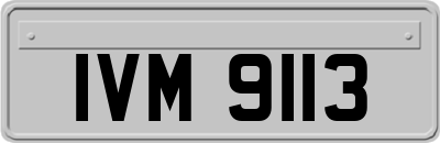 IVM9113
