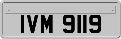IVM9119