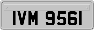 IVM9561