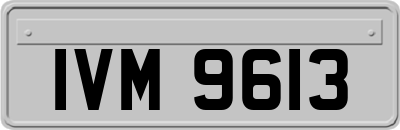 IVM9613