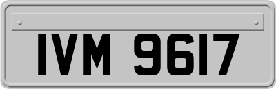 IVM9617
