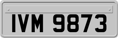 IVM9873