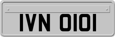 IVN0101
