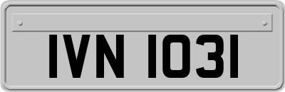 IVN1031