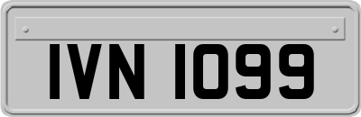 IVN1099