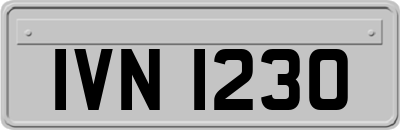 IVN1230