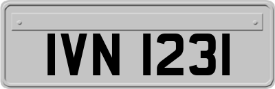 IVN1231
