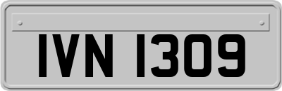 IVN1309