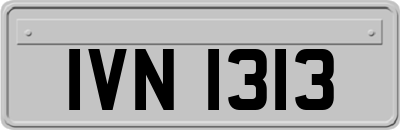 IVN1313