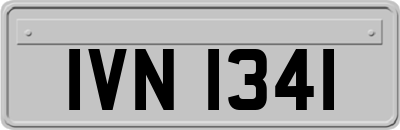 IVN1341