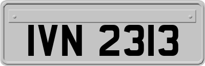 IVN2313