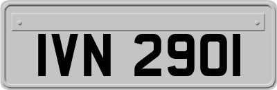 IVN2901