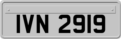 IVN2919