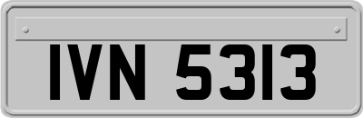 IVN5313