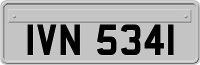 IVN5341