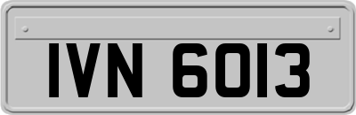 IVN6013