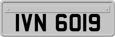 IVN6019