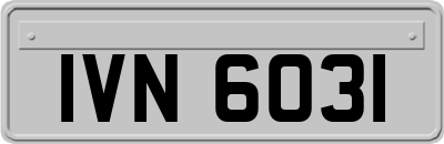 IVN6031