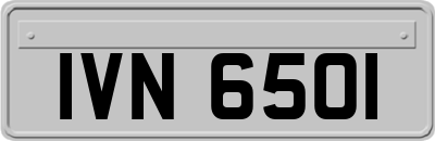 IVN6501
