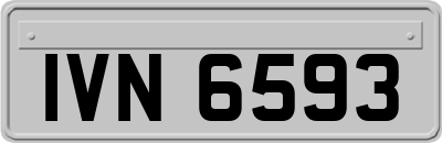 IVN6593