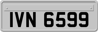 IVN6599