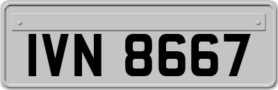 IVN8667