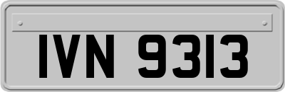 IVN9313