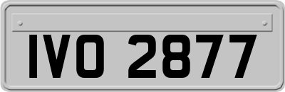 IVO2877