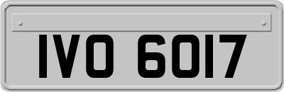IVO6017