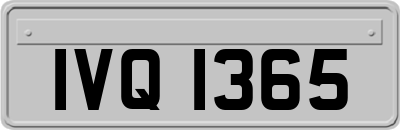 IVQ1365