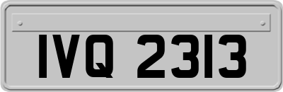 IVQ2313